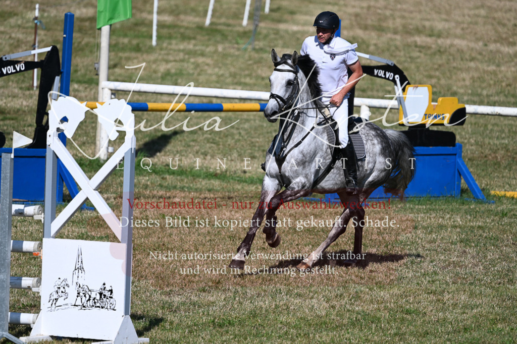 DSC_2245 | Pferde- und Turnierfotografie in Westsachsen. Pferdeportraits, Auftragszeichnungen und intuitive Kunst.