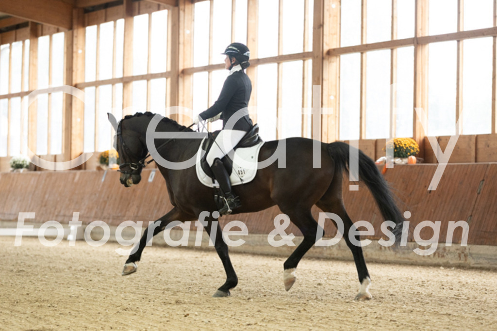 IMG_2330 | Creatify Fotografie