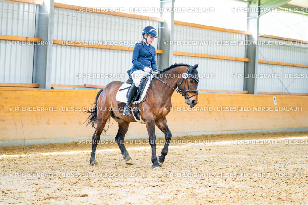 DSC08277 | Pferdegrafie