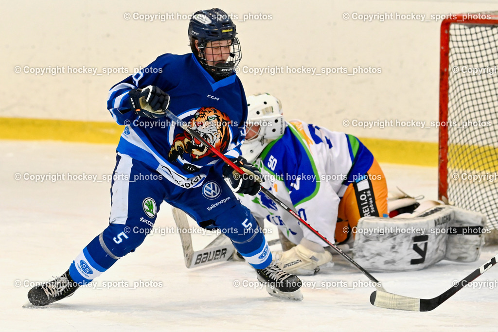  EC Tigers Paternion vs. EC Virgen 8.1.2022 | #9 Gratzer Julian, #50 Berger Matthias