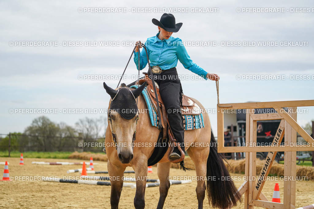 DSC03364 | Pferdegrafie