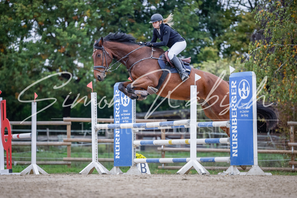 20251012-_3LI4960 | Tierfotografie Pferde, Hunde, Katzen, Haustiere.
Turnierfotografie Reitturniere, Reiten, Springreiten, Dressur in Hanau, dem Main-Kinzig-Kreis und dem Rhein-Main- Gebiet um Frankfurt