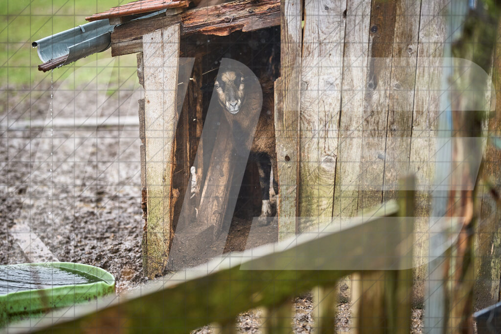 33. KTM Kamptal Trophy | 29.03.2025: 33. KTM Kamptal Trophy in Zöbing, Niederösterreich, ÖsterreichFoto: © 2025 Martin Bihounek / martinbihounek.comInsta: @martinbihounekcomFB: @martinbihounekphotography