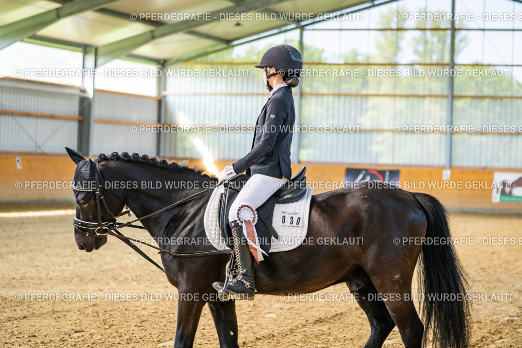 DSC02790 | Pferdegrafie