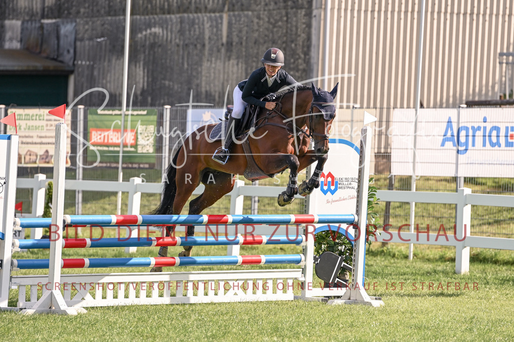 Schugtsche-Düren.2024-07.Amat.Springprf.A__-4 | Schugtsche Fotografie - Realisiert mit Pictrs.com