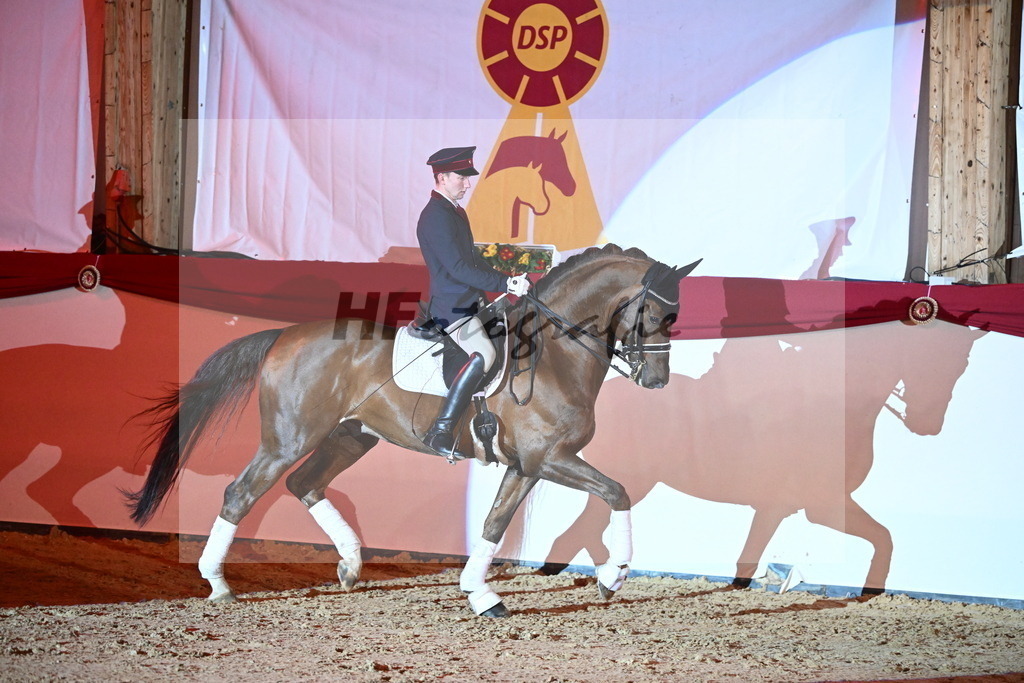 Don Royal_2241773 | hf-fotografie - Realisiert mit Pictrs.com