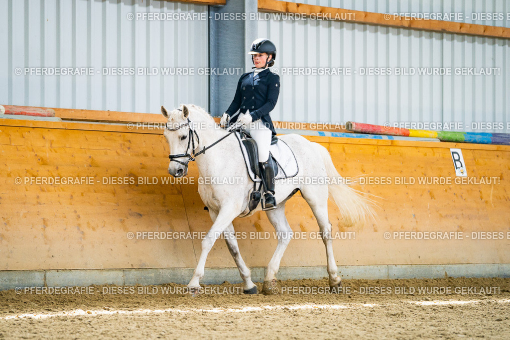 DSC04171 | Pferdegrafie