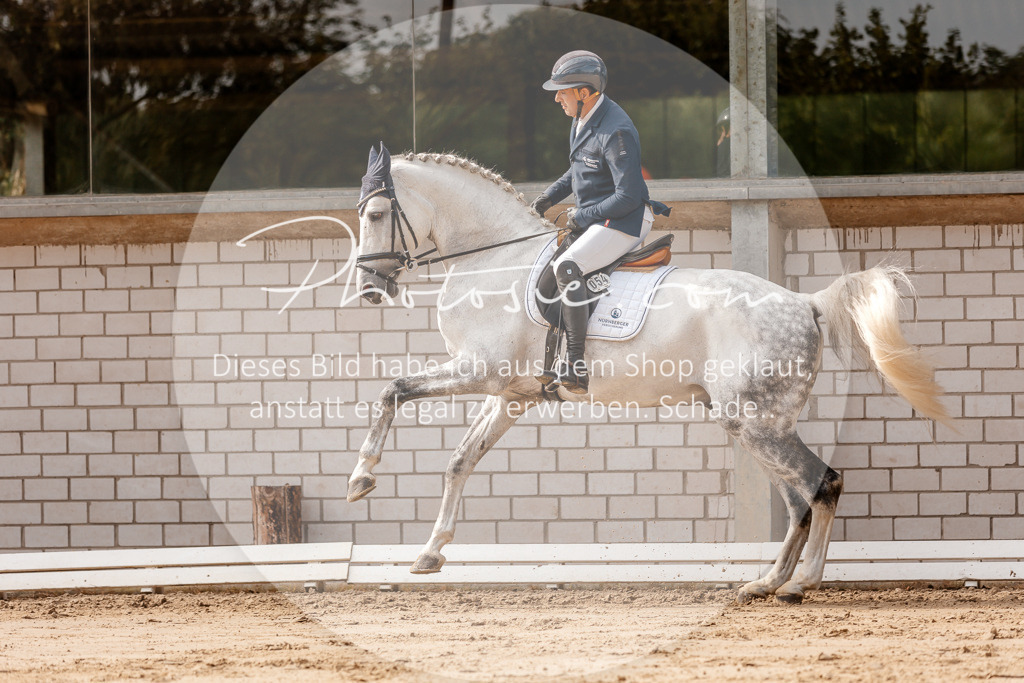 3I6A3498 | Stimmungsvolle Portraits und Reitsportfotografie im Ruhrgebiet und im Münsterland.

Pferdefotografie, Hundefotografie, Tierfotografie, Reportagen, Portraits von Tier und Mensch, Turnierfotografie in Bochum, Recklinghausen, Marl, Haltern am See, Dülmen.. - Realisiert mit Pictrs.com