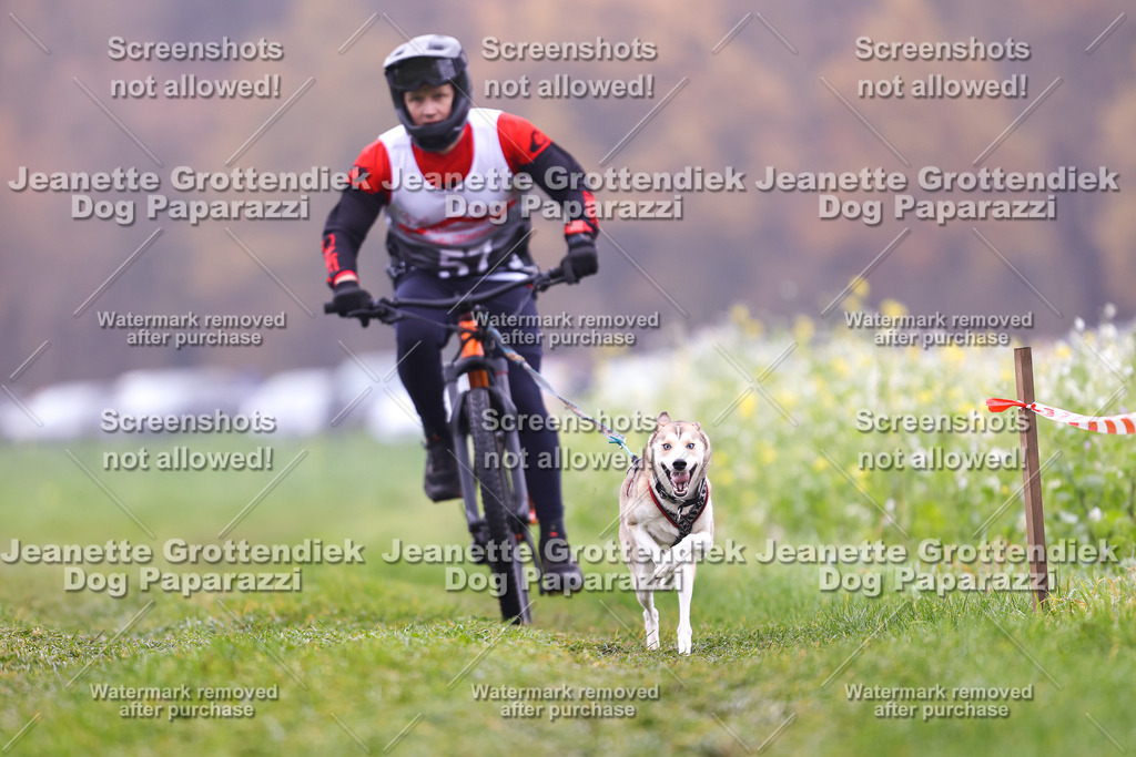 Dog Paparazzi - Visbeck 25 -184 | Dog Paparazzi Jeanette Grottendiek Fotografie & Videografie - Realisiert mit Pictrs.com