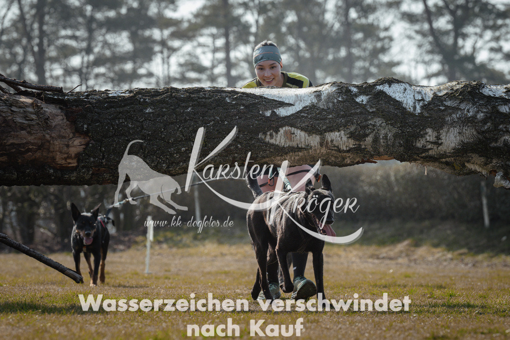 1129_ZZ95261 | kk-dogfotos