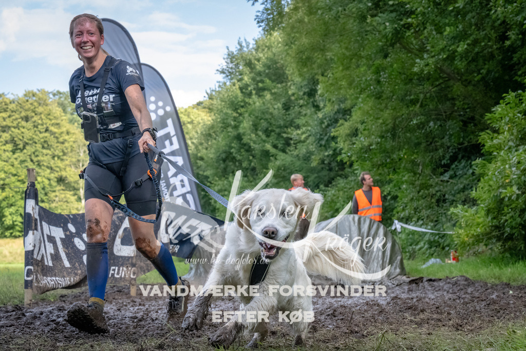 1736_ZZ92843-Bearbeitet | kk-dogfotos