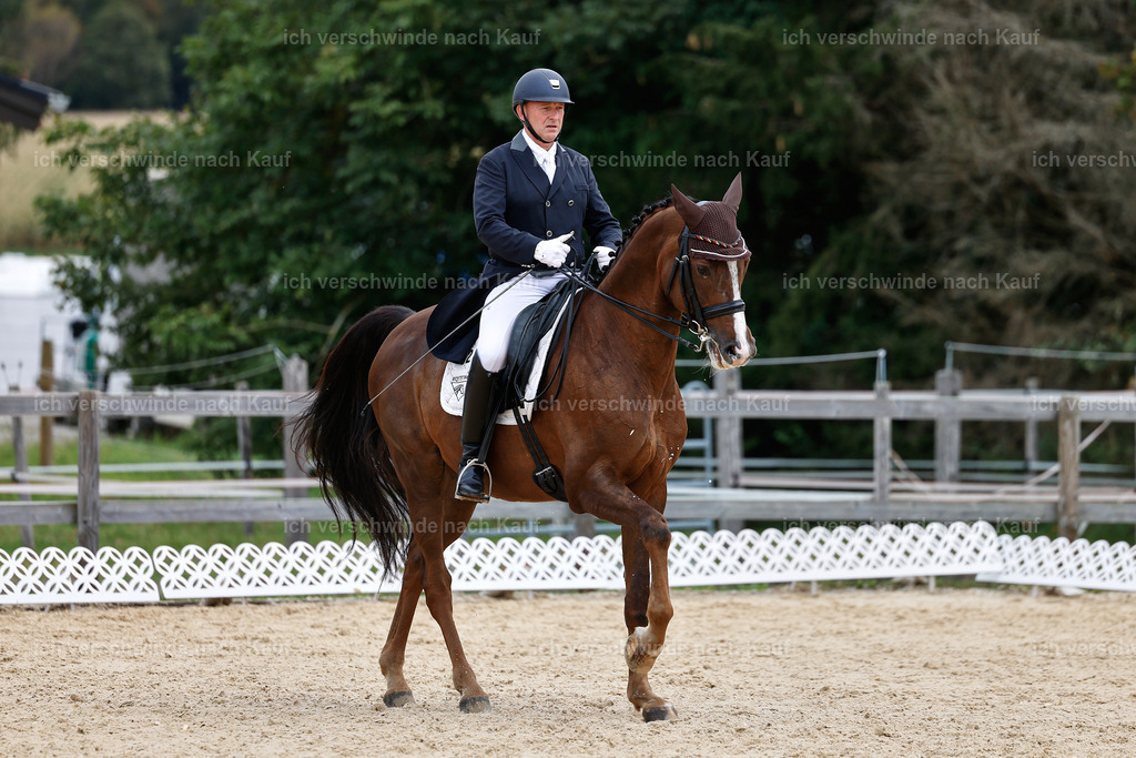 11-092-Dressur S___-StoibPH-1310 | working equitationturnier fotograf videograf stoibphotography marixx film working equitation deutschland reitsport turnierfotografie eventfotografie equestrian events