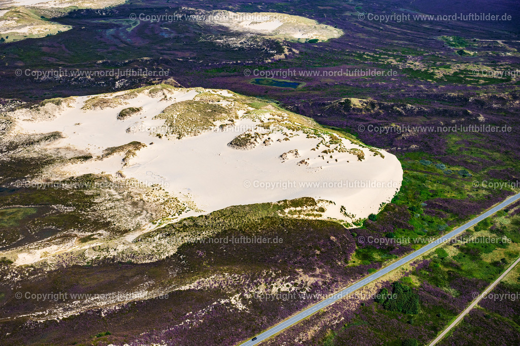 Sylt_List_Wanderdünen_Düne_Horst_ELS_9037130825 | LIST AUF SYLT 13.08.2025 Sandaufschüttungen einer Wanderdünenfläche in der Nordsee an der Listlandstraße in List auf Sylt im Bundesland Schleswig-Holstein, Deutschland. // Sand deposits of a shifting dune area in the North Sea on street Listlandstrasse in List auf Sylt in the state Schleswig-Holstein, Germany. Foto: Martin Elsen