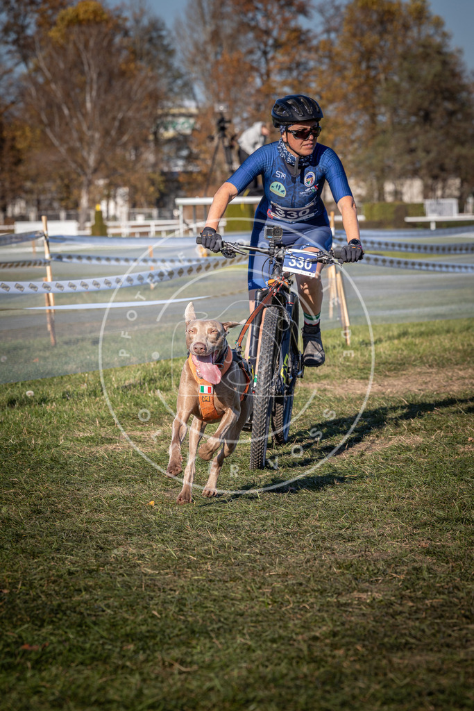 CaniXpix_0L8A5829 | Hundefotografie, Tierfotograf, Pfotenfotografie, Fotoshooting Hund, Hunde Portrait, Hundesport, Hundeportraits, Heideshooting, Hunde, Sportfotograf, Hundefotograf, Turnierhundsport, THS,  - Realisiert mit Pictrs.com