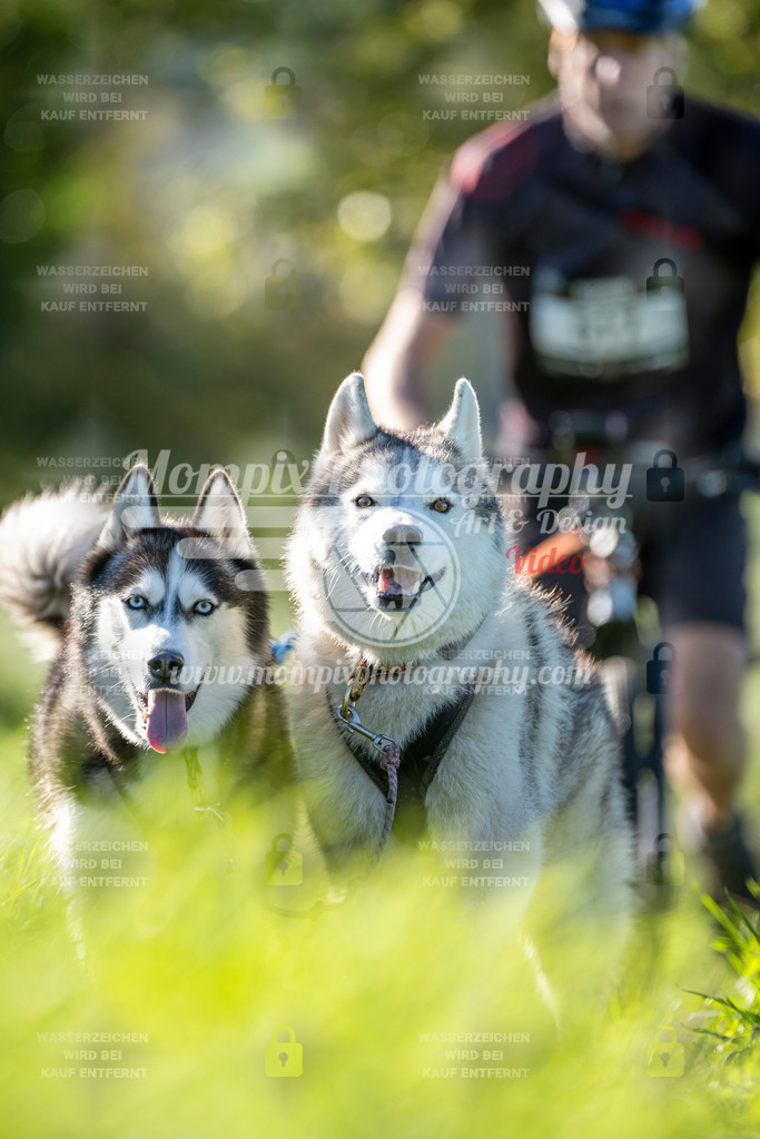 MompixPhotography_20TSB_E3_DS2-55 | PayLife