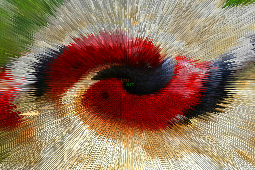 Koralle | Moderne Digital Art – Exklusive Kunstwerke für dein Zuhause
Entdecke einzigartige Digital Art und verleihe deinen Räumen eine moderne und stilvolle Atmosphäre. Unsere hochwertigen Kunstdrucke kombinieren innovative Technik mit künstlerischer Kreativität und bringen abstrakte, geometrische und futuristische Designs direkt an deine Wand.
✔ Hochauflösende Drucke in brillanten Farben
✔ Exklusive Motive von talentierten Digital Artists
✔ Verschiedene Formate für jeden Raum und Stil
✔ Perfekt als Wandkunst für Wohnzimmer, Büro oder Galerie
Lass dich von unserer modernen, abstrakten und minimalistischen Kunst inspirieren und finde dein neues Lieblingsmotiv! Jetzt bestellen und dein Zuhause mit hochwertiger Digital Art verschönern.
 - Realisiert mit Pictrs.com