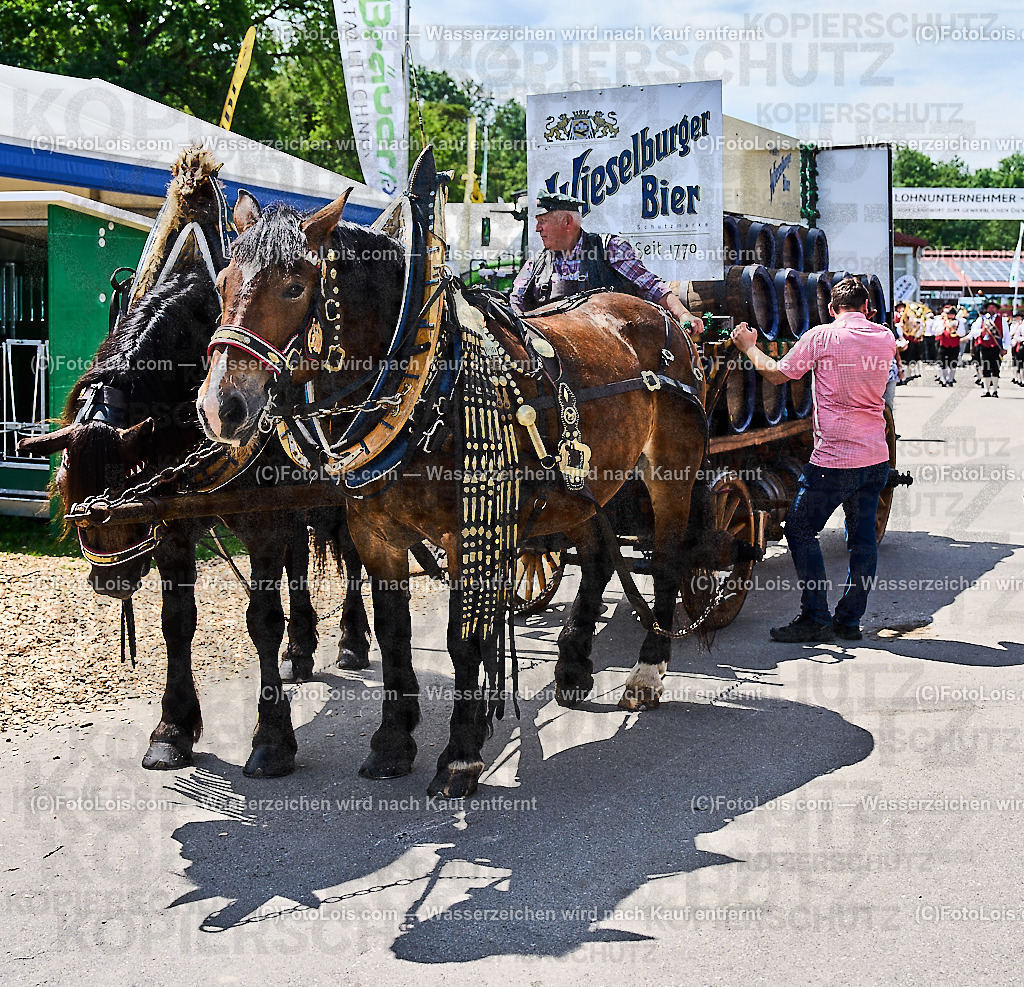 ALP9487_MESSE_LAND-FORST-JAGD_Wieselburger PferdeBierwagen | (C)FotoLois.com, Alois Spandl, WIESELBURGER MESSE LAND-FORST-JAGD, Eröffnung mit Messerundgang mit BM Norbert Totschnig, LH Johanna Mickl-Leitner, LH-Stv. Stephan Pernkopf, LLK Johannes Schmuckenschlager, GF Marion Heim, Hannes Heindl, Bgm. Josef Leitner, Bgm. Franz Rafetseder, ..., Do 6. Juni 2024.