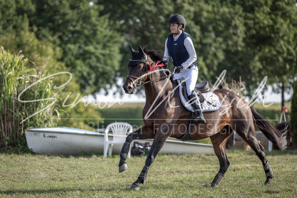 20250907-_3LI9087 | Tierfotografie Pferde, Hunde, Katzen, Haustiere.
Turnierfotografie Reitturniere, Reiten, Springreiten, Dressur in Hanau, dem Main-Kinzig-Kreis und dem Rhein-Main- Gebiet um Frankfurt