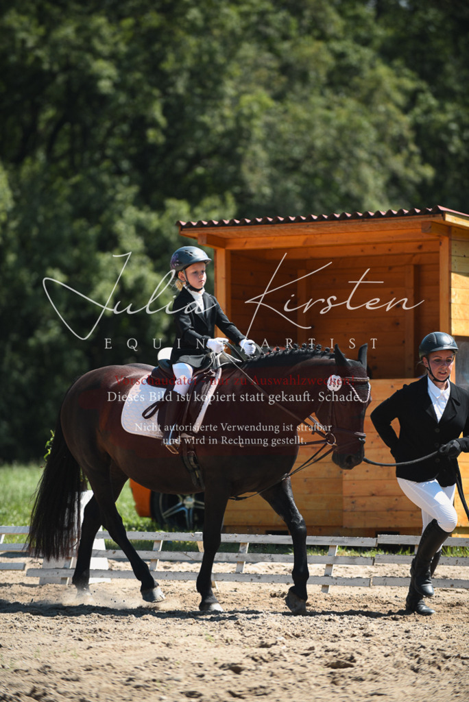 DSC_1863 | Pferde- und Turnierfotografie in Westsachsen. Pferdeportraits, Auftragszeichnungen und intuitive Kunst.