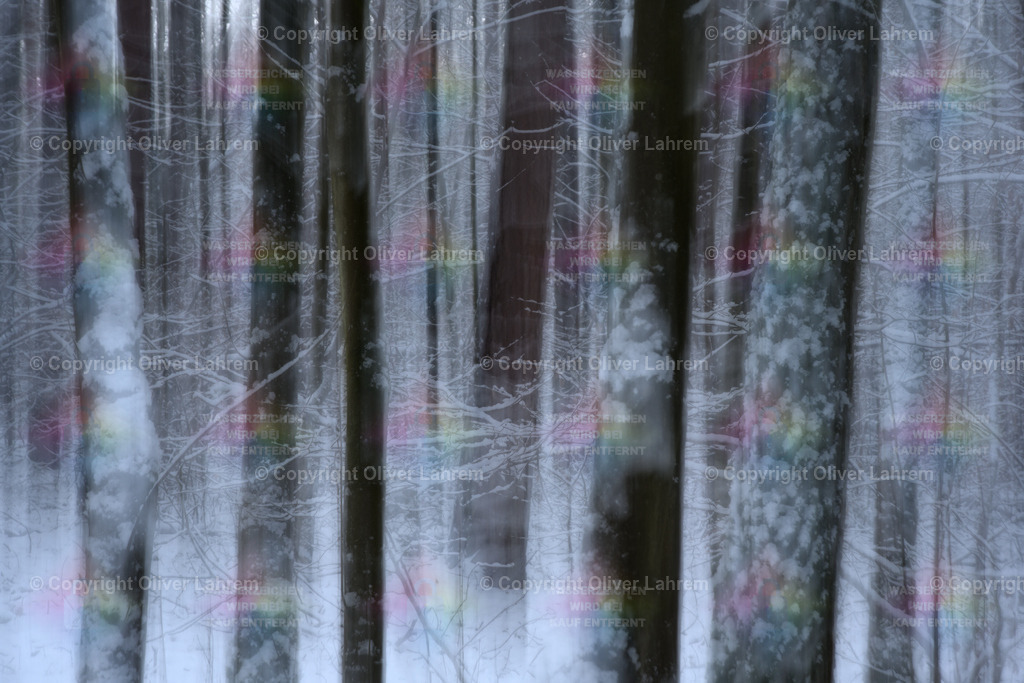 Heimatwald Ansicht | Blick in den winterlichen Wald von Klein Welzheim / Seligenstadt.Die Bilder wurden mit einer Fotografische Technik aufgenommen und haben dadurch ein spezielle Ästhetik.