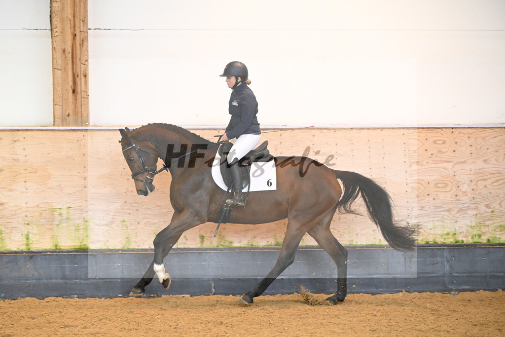 Kat-Nr. 6 Lynette_Leggett_6222019 | hf-fotografie - Realisiert mit Pictrs.com