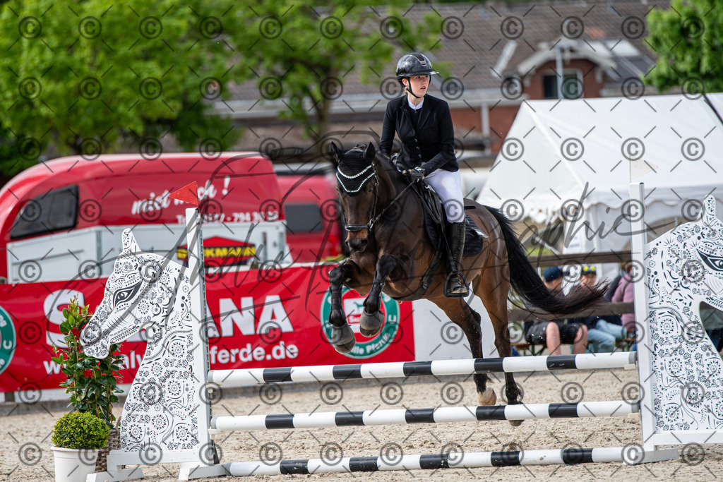 KPT_6520 | andre_photographic