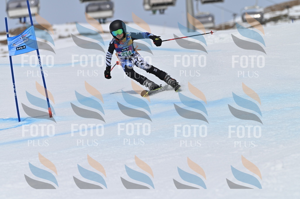 BGV_4155 | holidayphoto