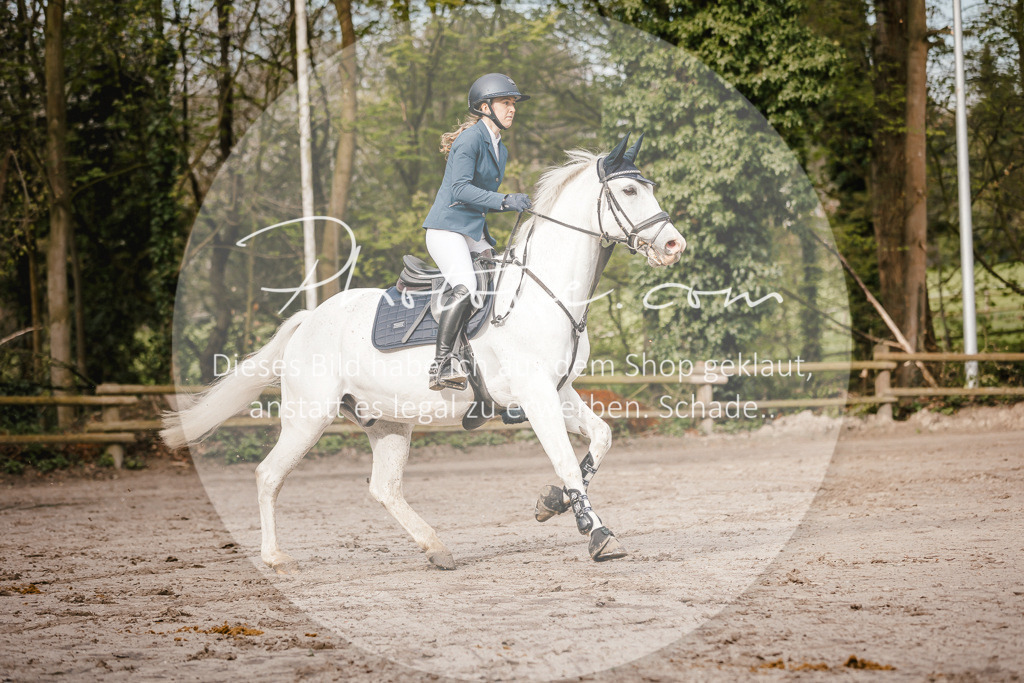 3I6A3277 | Stimmungsvolle Portraits und Reitsportfotografie im Ruhrgebiet und im Münsterland.

Pferdefotografie, Hundefotografie, Tierfotografie, Reportagen, Portraits von Tier und Mensch, Turnierfotografie in Bochum, Recklinghausen, Marl, Haltern am See, Dülmen.. - Realisiert mit Pictrs.com