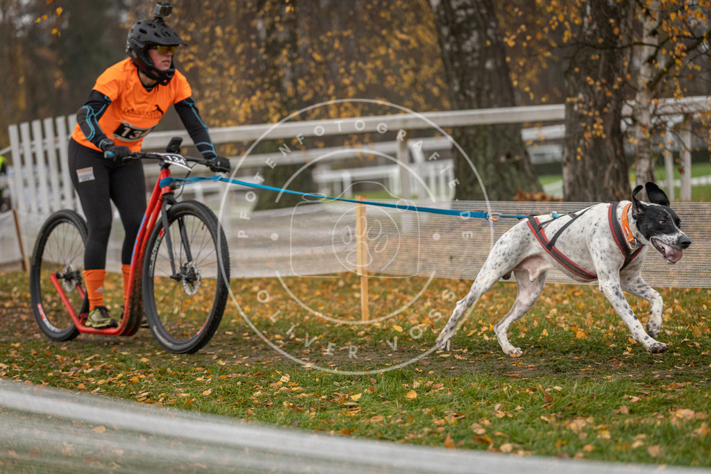 CaniXpix_DV3A8648 | Hundefotografie, Tierfotograf, Pfotenfotografie, Fotoshooting Hund, Hunde Portrait, Hundesport, Hundeportraits, Heideshooting, Hunde, Sportfotograf, Hundefotograf, Turnierhundsport, THS,  - Realisiert mit Pictrs.com