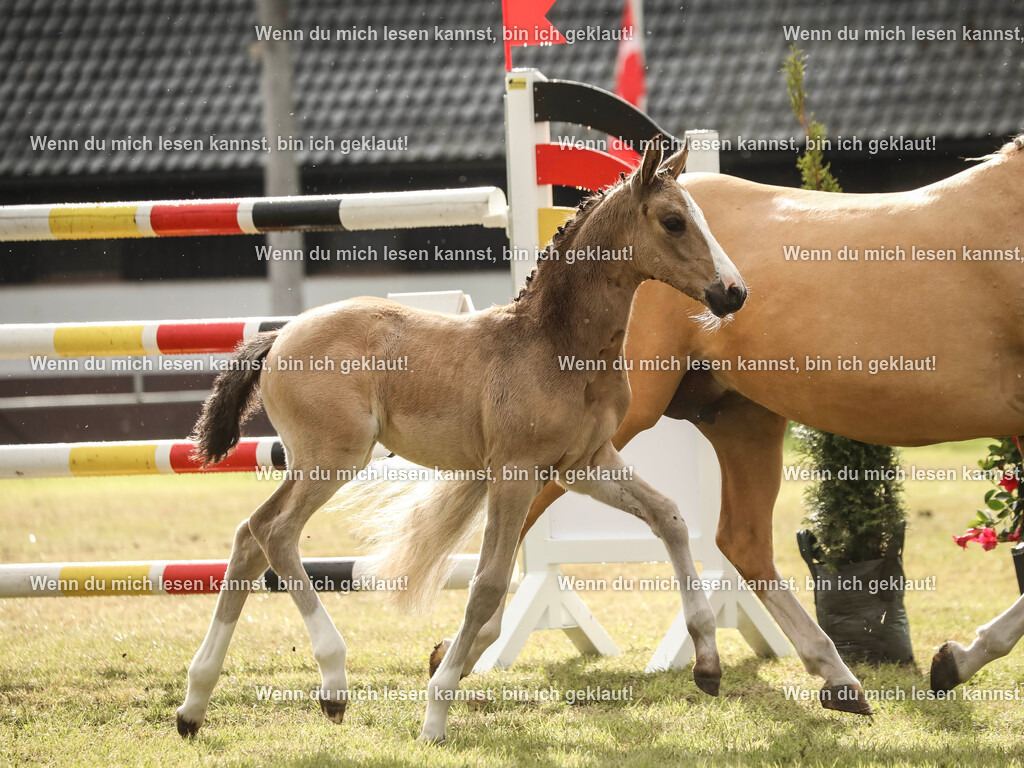 598A2191-2 | photographylinaismer - Realisiert mit Pictrs.com