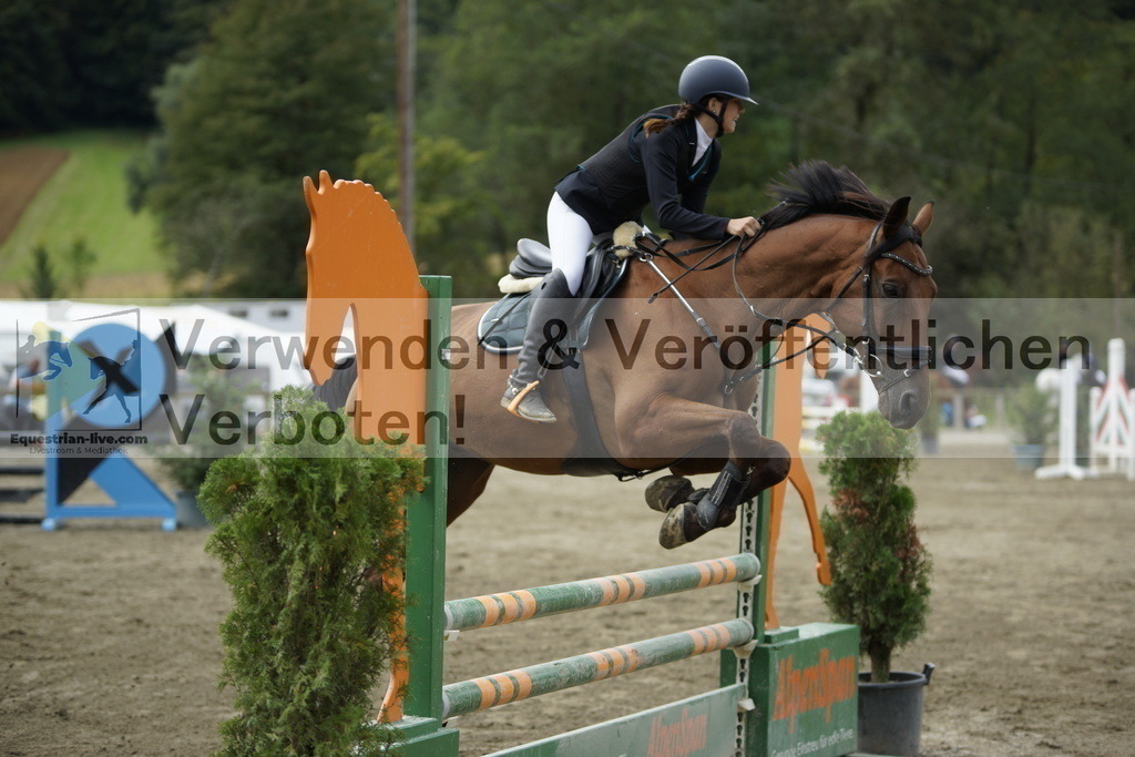 _DSC5236 | equestrian-live-com