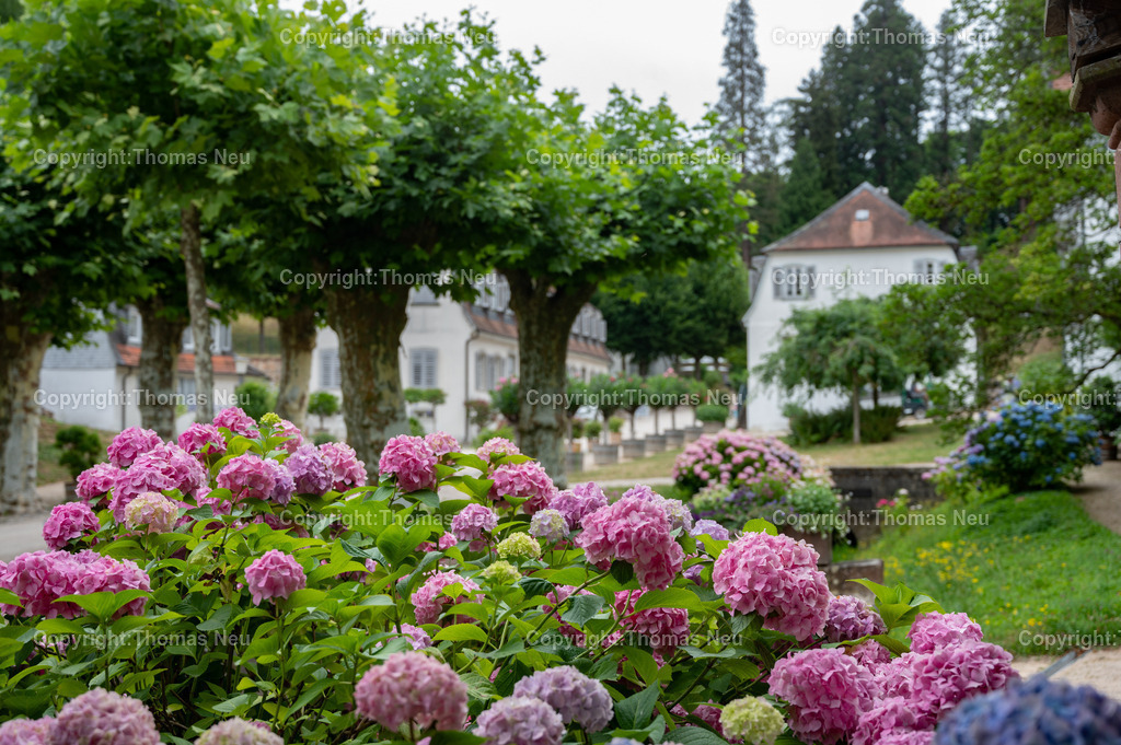 Fürstenlager_Bensheim-Auerbach_DSC_4504 | Der Staatspark Fürstenlager in Bensheim Auerbach, an der hessischen Bergstraße- ist ein wunderschöner Landschaftspark nach englischen Vorbild. Es war die Sommerresidenz der Darmstädter Fürstenfamilie die hier das "einfache Landleben" genossen. Zu jeder Jahreszeit kann man das Fürstenlager als Ausflugsziel empfehlen. Im Herrenhaus ist eine Gastronomie untergebracht. Im Sommer findet auf der Bühne vor der großen Wiese ein Opern-Air statt, 