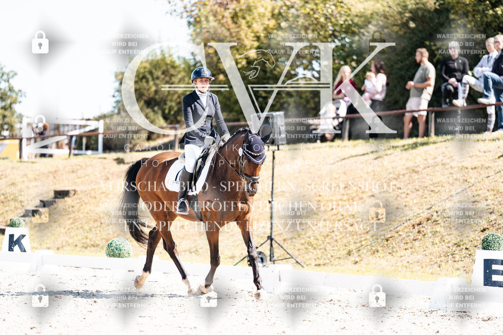 CK903974 | Turnierfotografie Pferdefotografie Trier Rheinland-Pfalz Pferdesport Reitsport Tierfotografie Sportfotografie Pferdevideo Pferdevideografie Equestrianvideography equestrianphotography  - Realisiert mit Pictrs.com