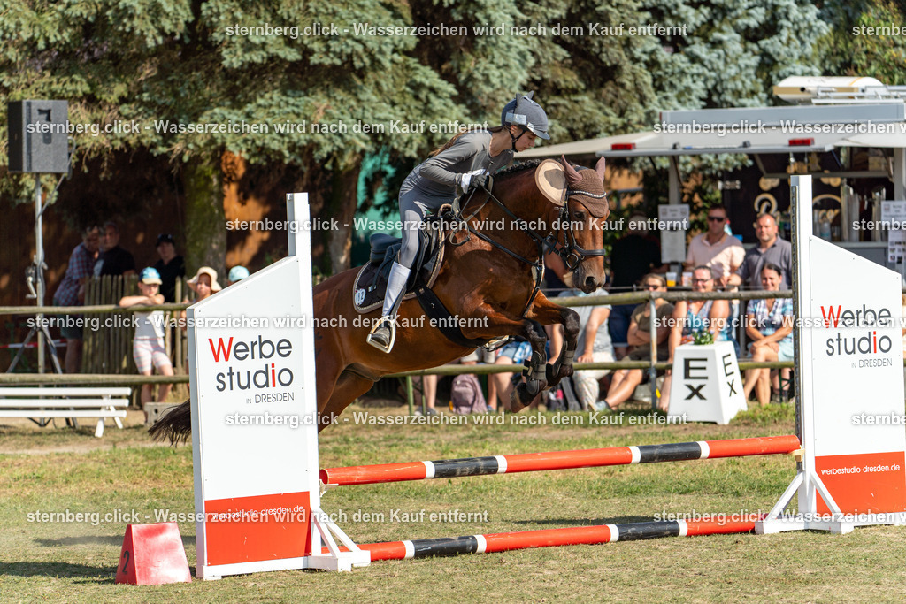 2026-08-09_15-30-12_WBO_Pulsnitz | sternberg.click - Realisiert mit Pictrs.com