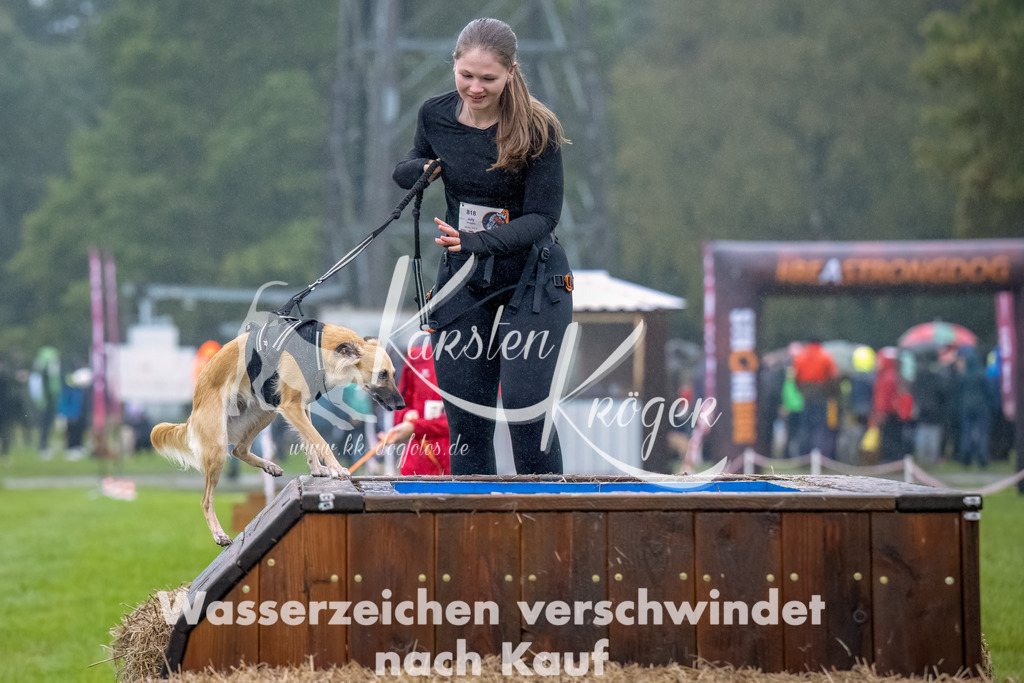 1010--4 | kk-dogfotos