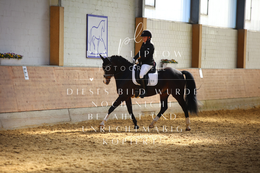 IMGT6768 | pl-fotografie