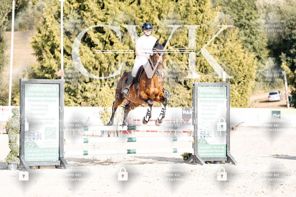 CK909445 | Turnierfotografie Pferdefotografie Trier Rheinland-Pfalz Pferdesport Reitsport Tierfotografie Sportfotografie Pferdevideo Pferdevideografie Equestrianvideography equestrianphotography  - Realisiert mit Pictrs.com