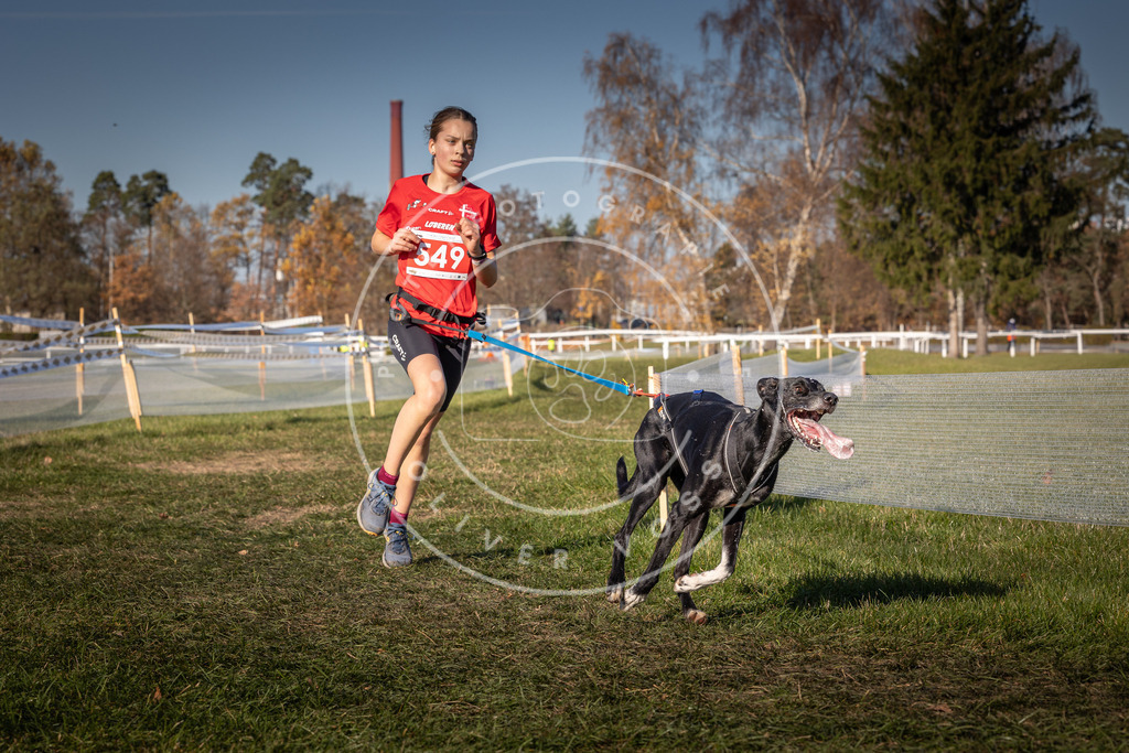 CaniXpix_0L8A7629 | Hundefotografie, Tierfotograf, Pfotenfotografie, Fotoshooting Hund, Hunde Portrait, Hundesport, Hundeportraits, Heideshooting, Hunde, Sportfotograf, Hundefotograf, Turnierhundsport, THS,  - Realisiert mit Pictrs.com