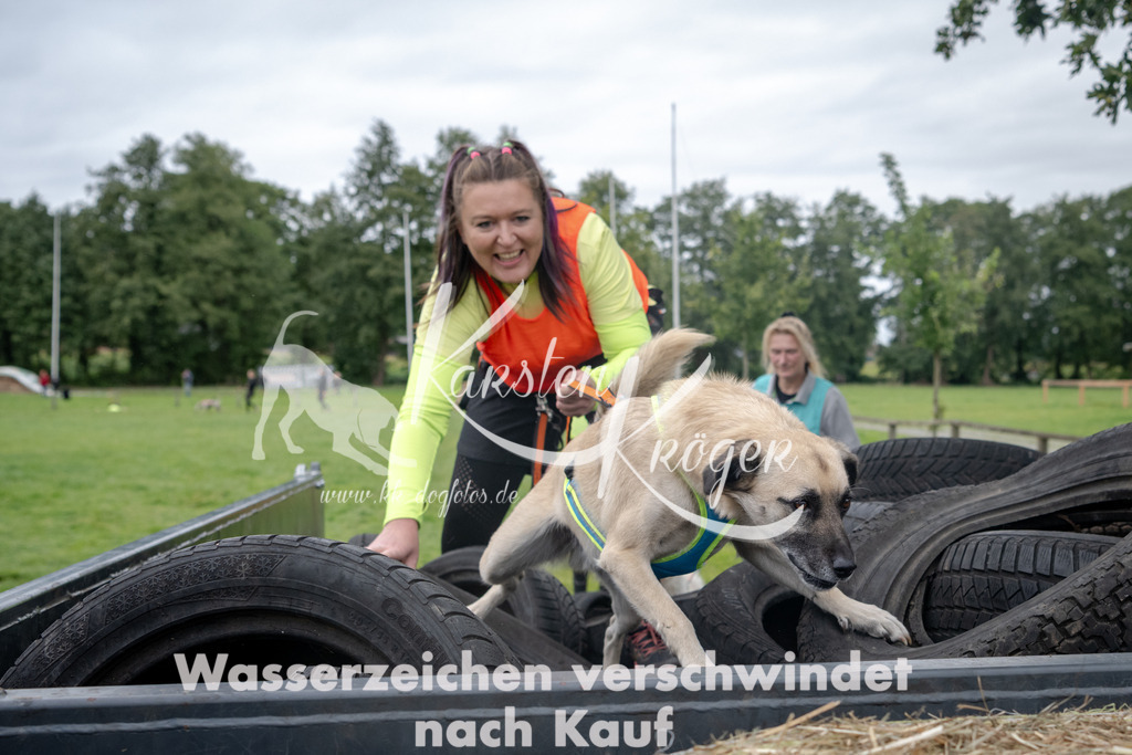 1247_ZZ92319 | kk-dogfotos