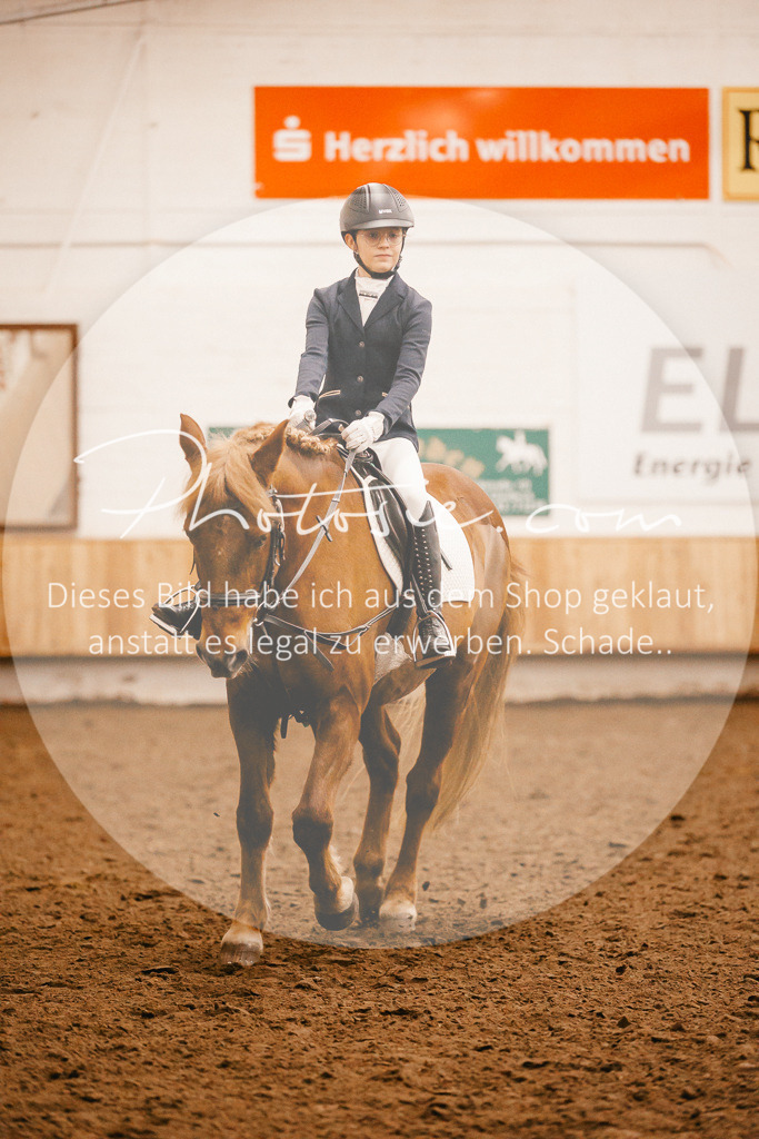 3I6A3754 | Stimmungsvolle Portraits und Reitsportfotografie im Ruhrgebiet und im Münsterland.

Pferdefotografie, Hundefotografie, Tierfotografie, Reportagen, Portraits von Tier und Mensch, Turnierfotografie in Bochum, Recklinghausen, Marl, Haltern am See, Dülmen.. - Realisiert mit Pictrs.com