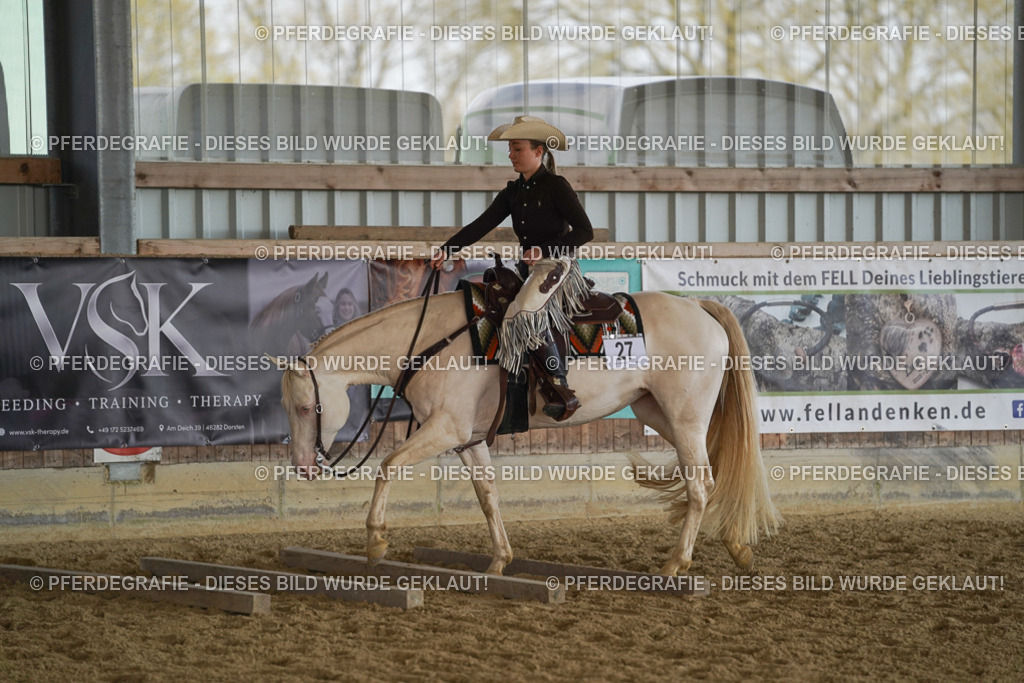 DSC00460 | Pferdegrafie