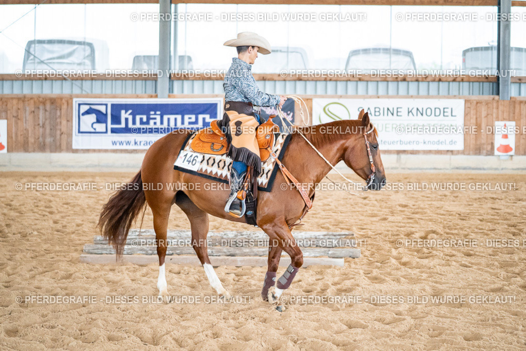 DSC03185 | Pferdegrafie