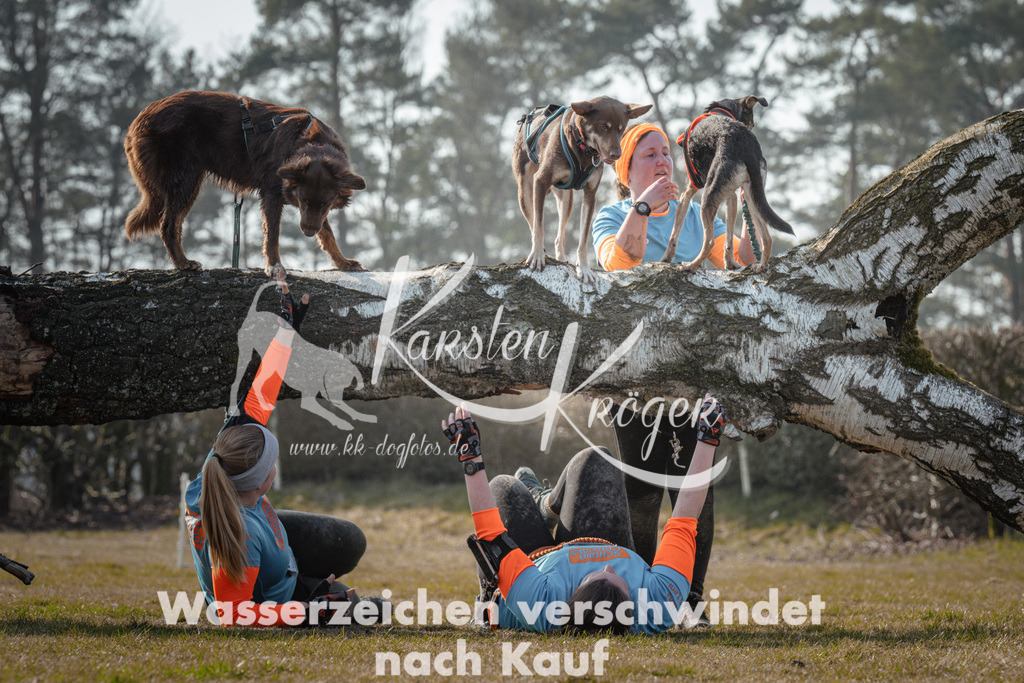 1045_ZZ93758 | kk-dogfotos