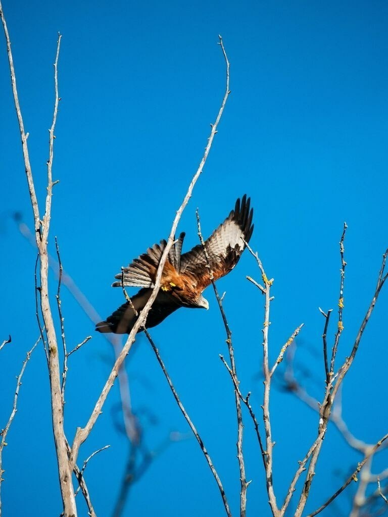 PSX_20230106_233659 | mtkfoto_ - Realisiert mit Pictrs.com