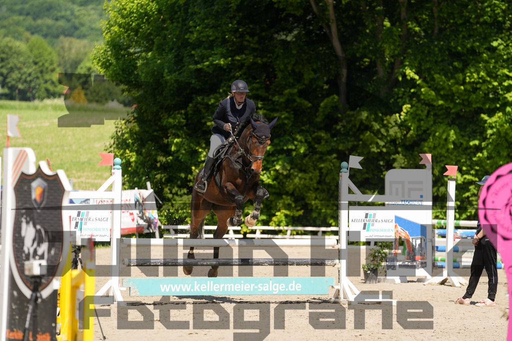 DSC02236 | Julian Held Fotografie - Realisiert mit Pictrs.com