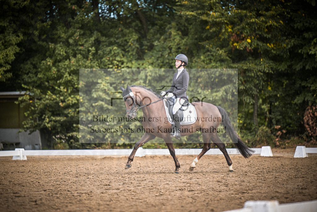 DOS_2265 | Entdecke hochwertige Reitturnierfotos von Foto Oger. Professionell, emotional und authentisch – jetzt Lieblingsmomente im Shop bestellen.Deutschlandweite Turnierfotografie. - Realisiert mit Pictrs.com