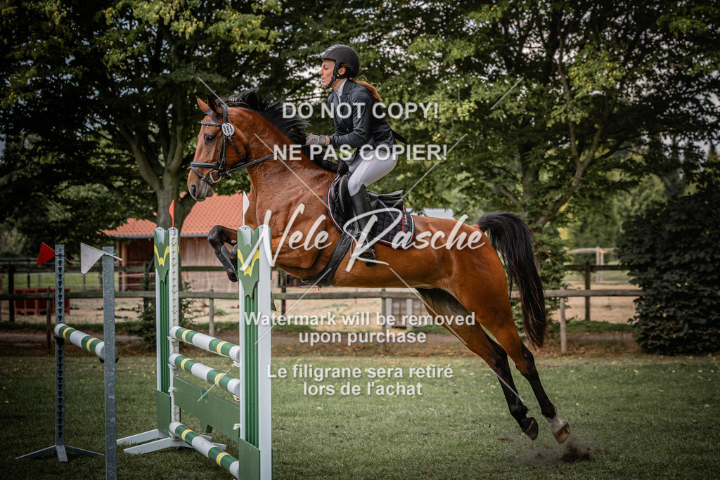 nelerasche_SprA__100Ede_08 | nelerasche