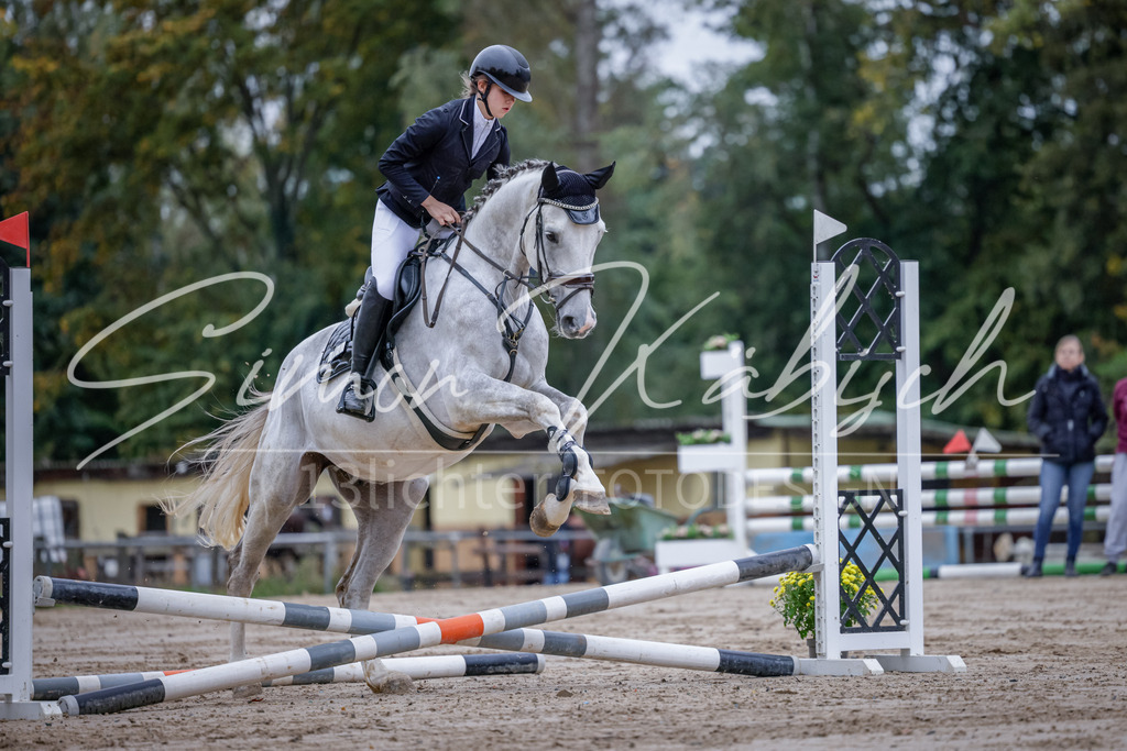 20251012-_3LI2717 | Tierfotografie Pferde, Hunde, Katzen, Haustiere.
Turnierfotografie Reitturniere, Reiten, Springreiten, Dressur in Hanau, dem Main-Kinzig-Kreis und dem Rhein-Main- Gebiet um Frankfurt