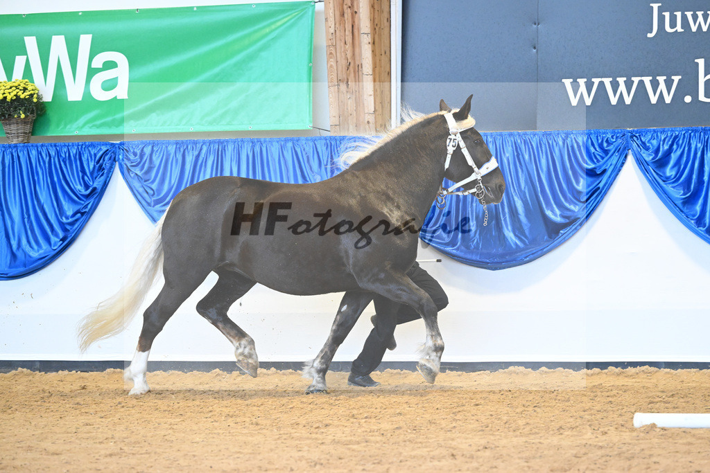 Kat-Nr. 75 Maya_Hoeck_53220339 | hf-fotografie - Realisiert mit Pictrs.com