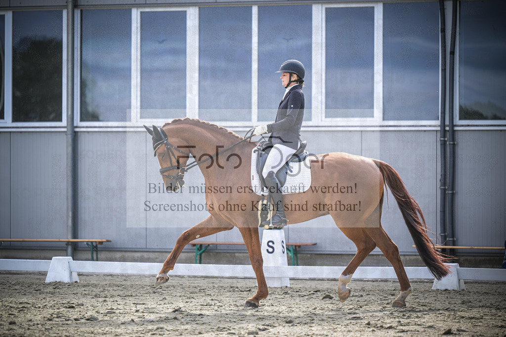 DOS_0970 | Entdecke hochwertige Reitturnierfotos von Foto Oger. Professionell, emotional und authentisch – jetzt Lieblingsmomente im Shop bestellen.Deutschlandweite Turnierfotografie. - Realisiert mit Pictrs.com